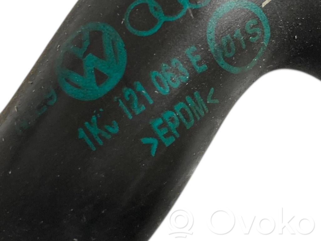 Caurulīte (-es) / šļūtene (-es)