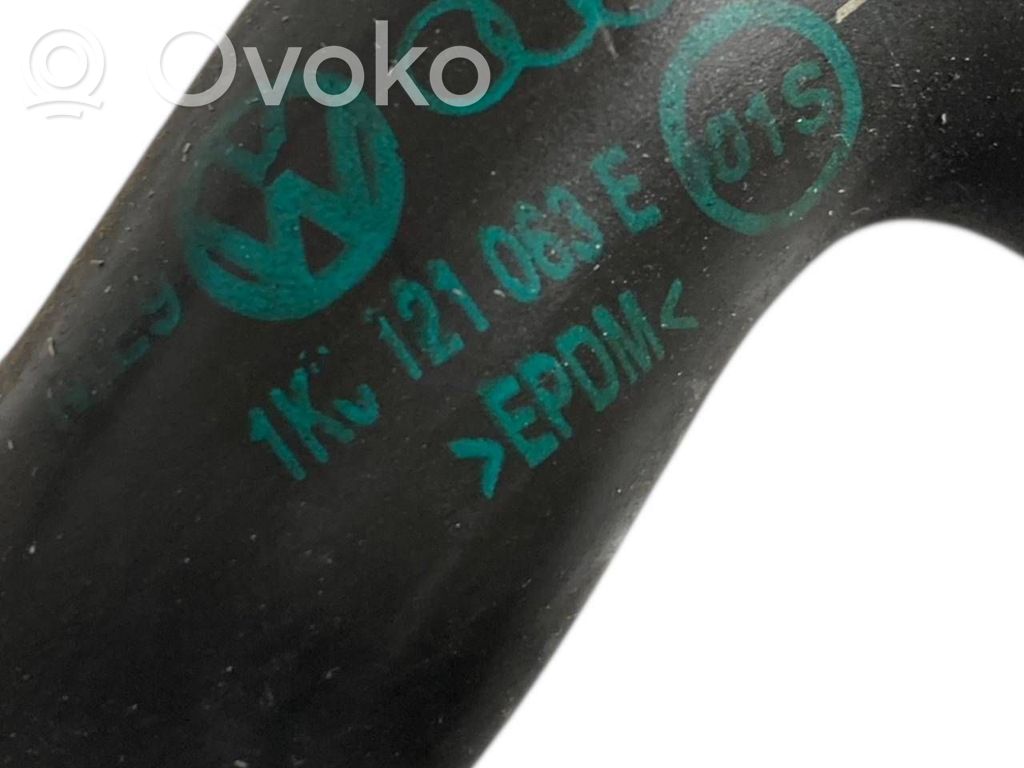 Caurulīte (-es) / šļūtene (-es)