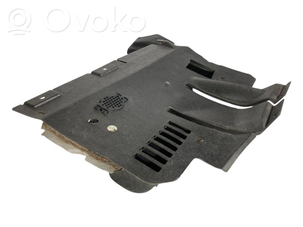 Panel decorative trim shield (lower)