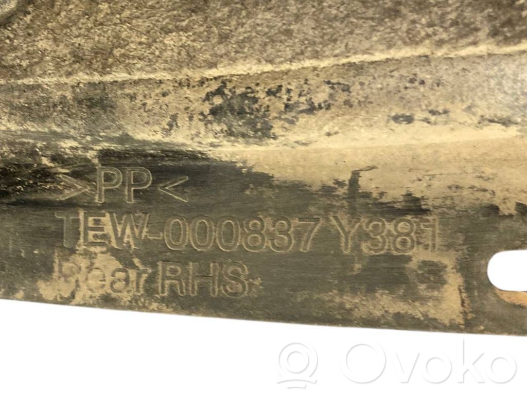 Aizmugurējais apakšspārns