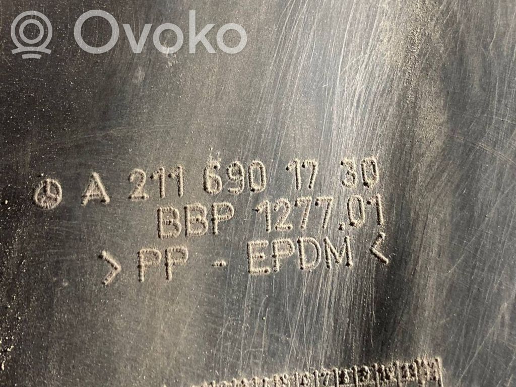 Aizmugurējais apakšspārns