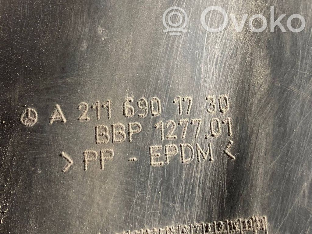 Aizmugurējais apakšspārns