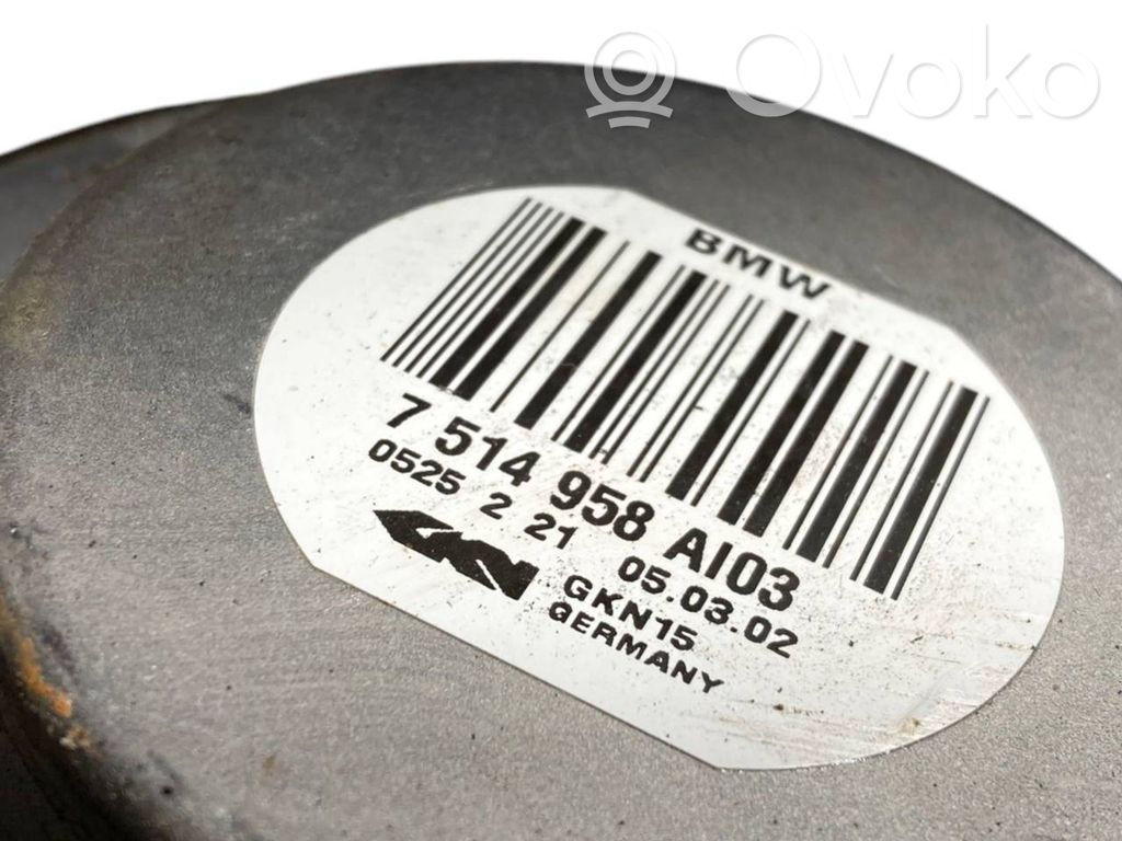 Aizmugurējā pusass