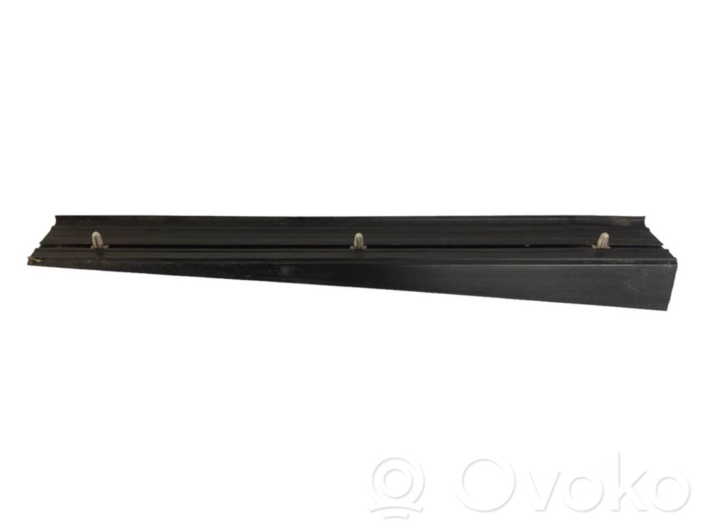 Rear door sill trim (external)