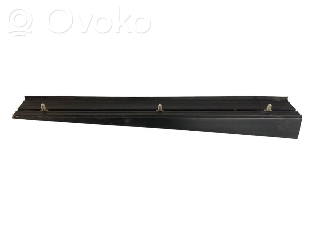 Rear door sill trim (external)