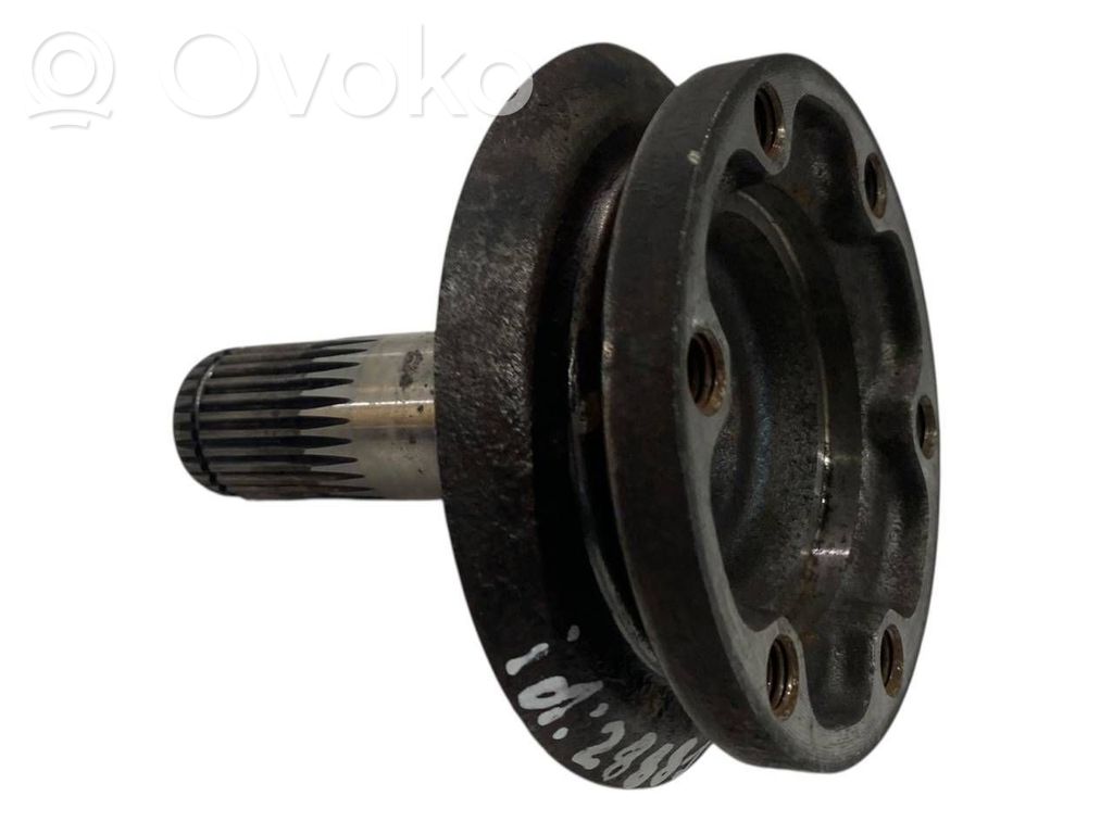 Aizmugurējā pusass