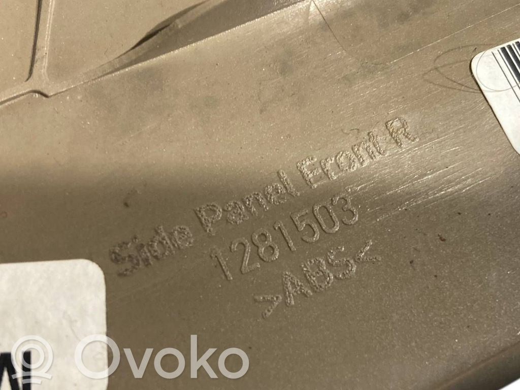 Sānu dekoratīvā apdare (priekšā)