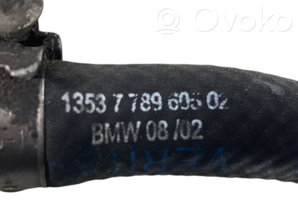 Caurule (-es) / šļūtene (-es)