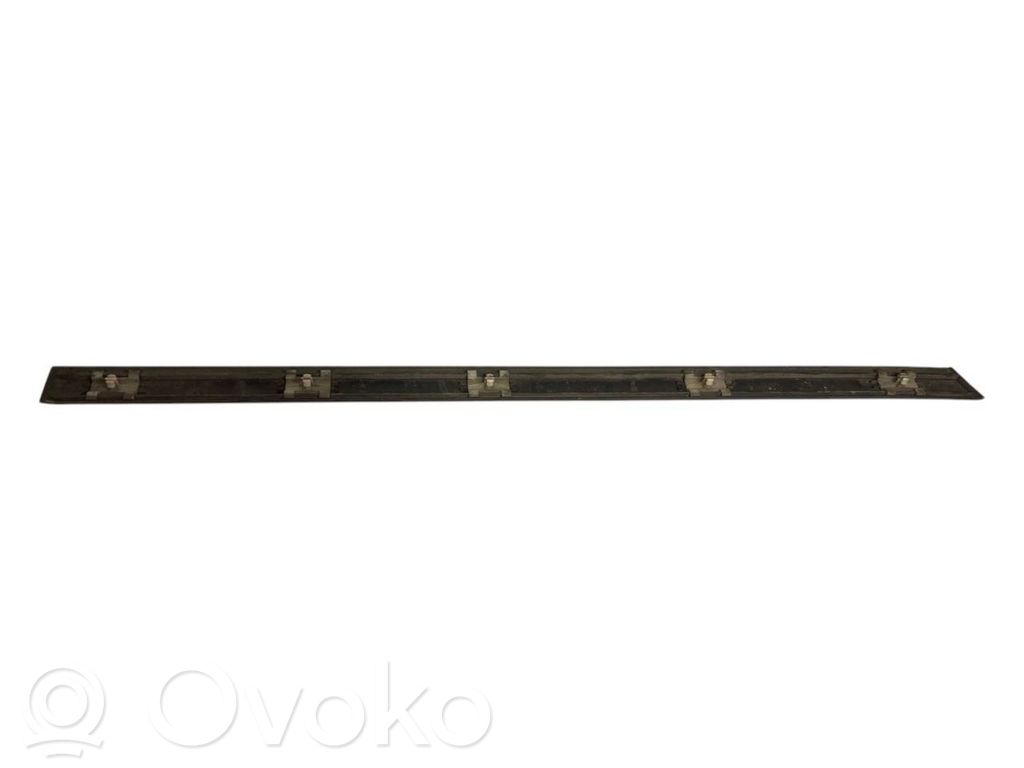 Aizmugurē durvju dekoratīvā apdare (moldings)