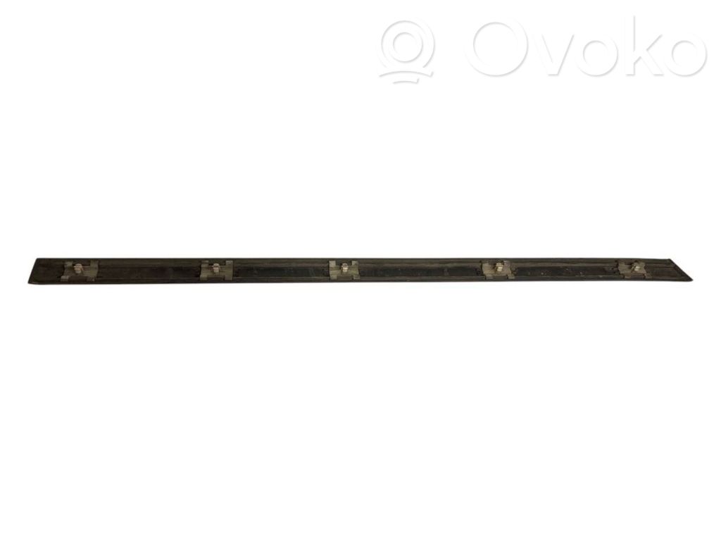 Aizmugurē durvju dekoratīvā apdare (moldings)
