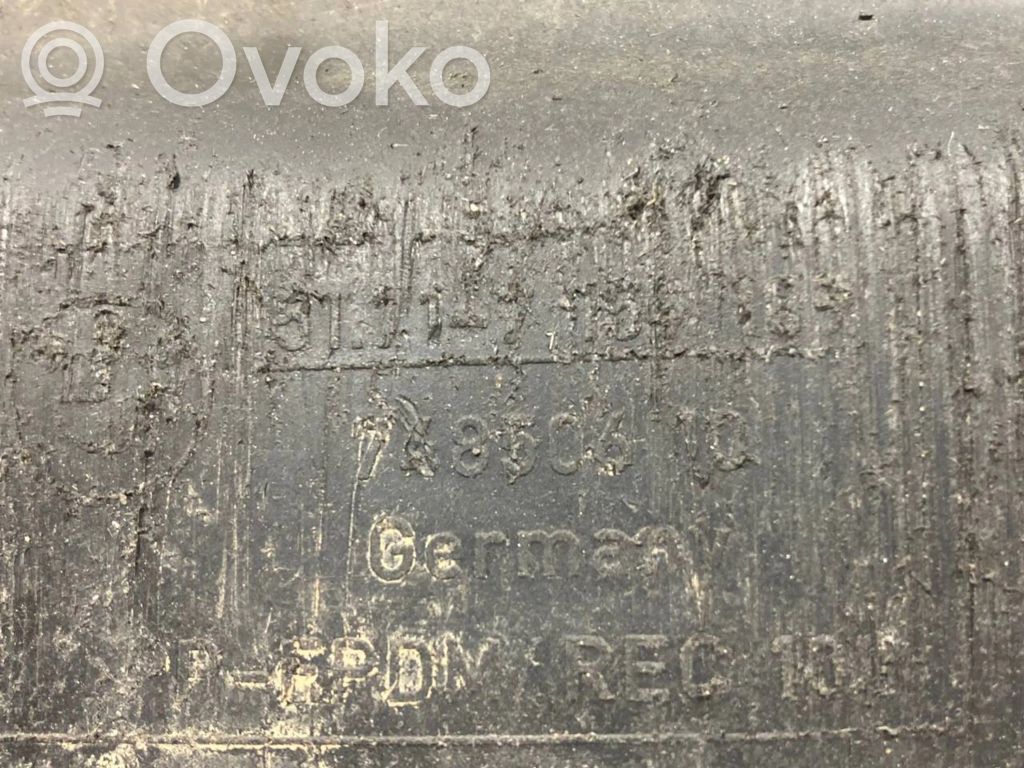 Under engine guard (front)