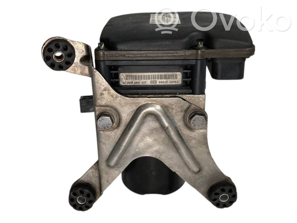 ABS unit