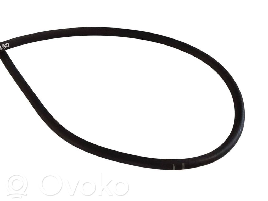 Caurulīte (-es) / šļūtene (-es)