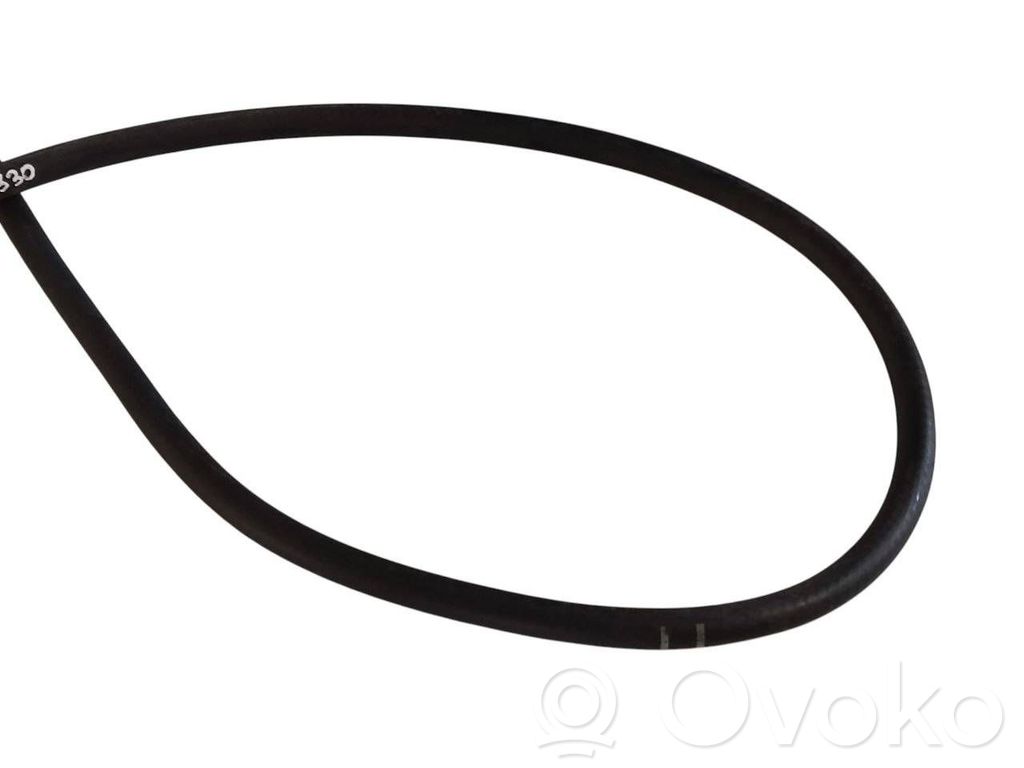 Caurulīte (-es) / šļūtene (-es)