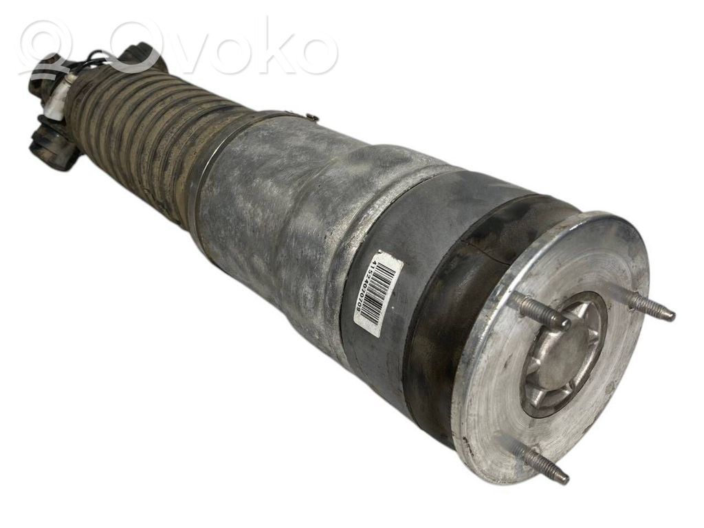 Rear shock absorber (air/hydraulic suspension)