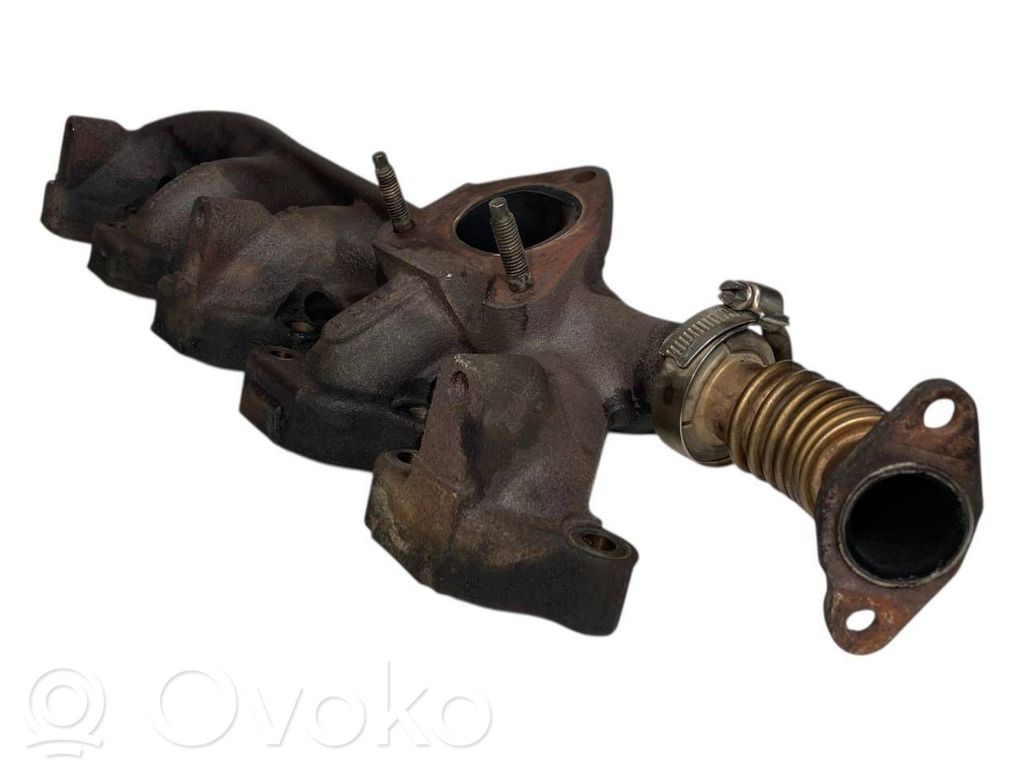 Izplūdes kolektors