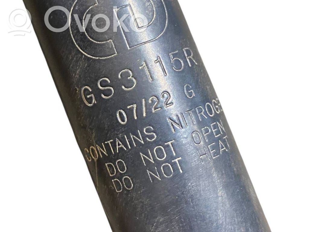 Aizmugurē amortizators