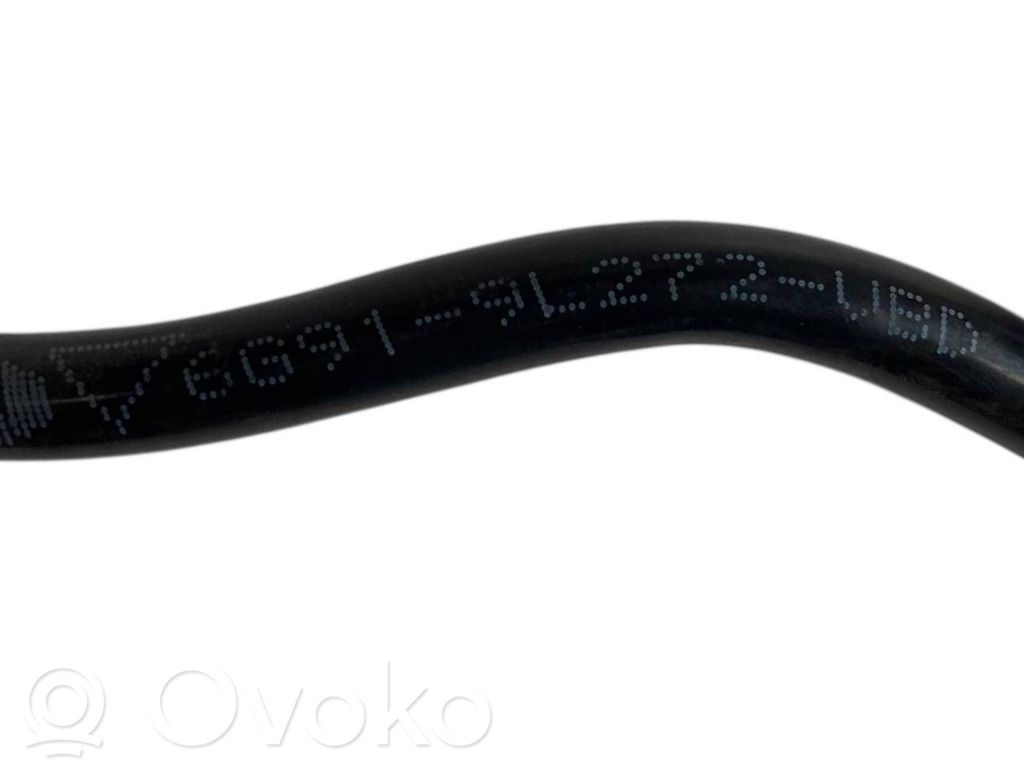 Caurule (-es) / šļūtene (-es)