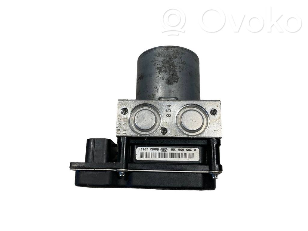 ABS unit