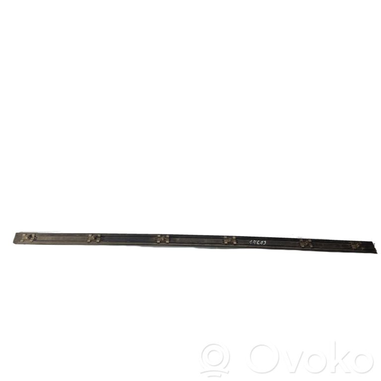 Priekšpusē durvju dekoratīvā apdare (moldings)