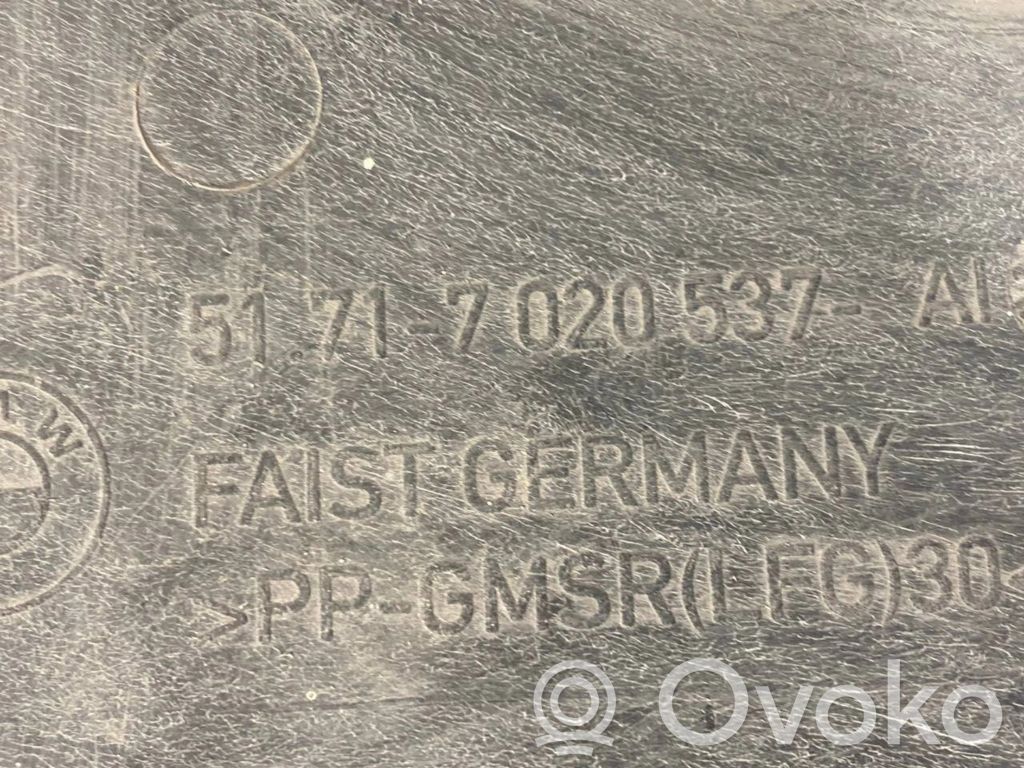 Underbody protection at the rear of the chassis