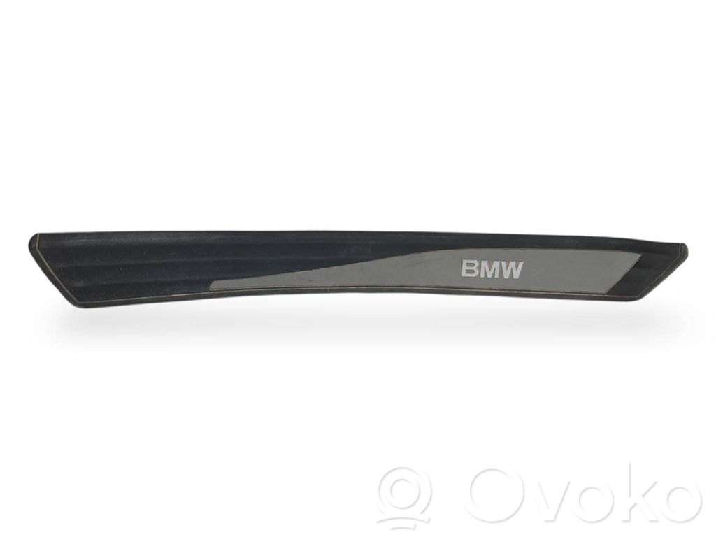 Rear door sill trim (inner)