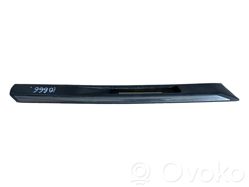 Fender decorative trim (molding)