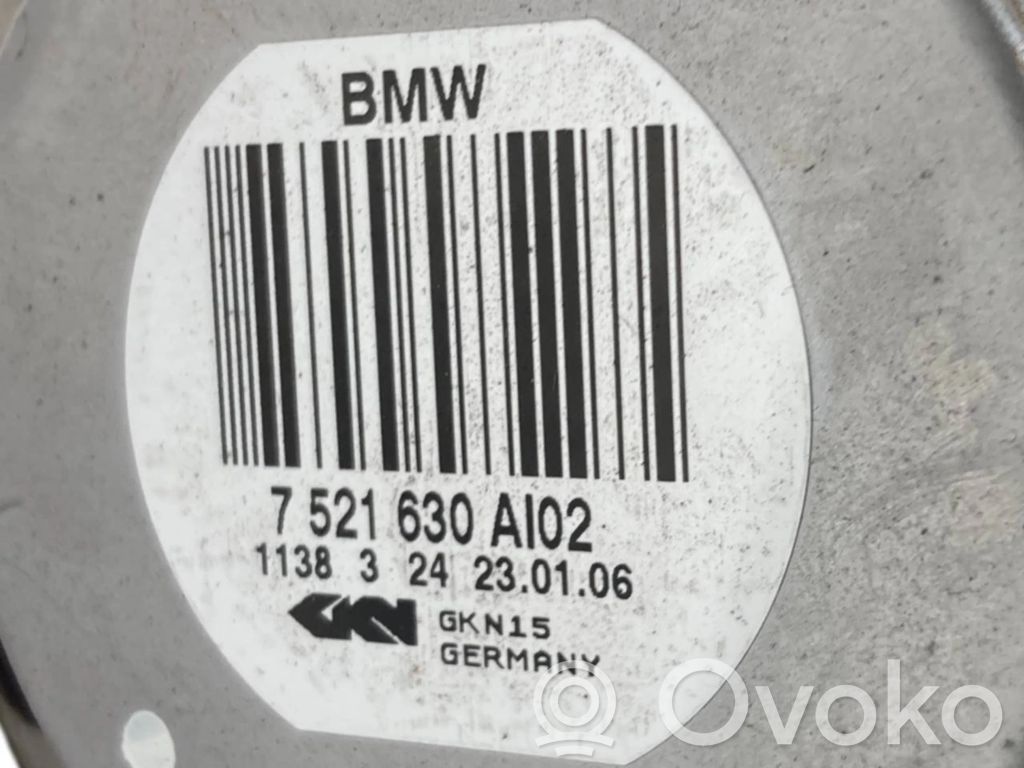 Aizmugurējā pusass