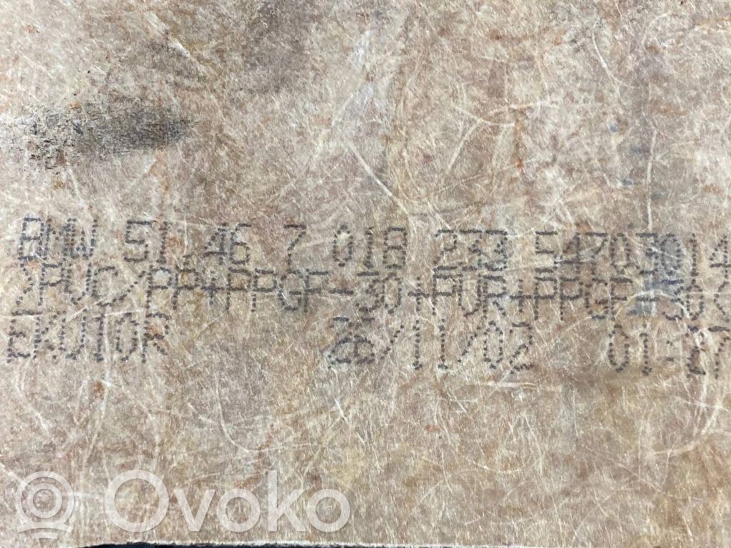 Aizmugurējā palodze