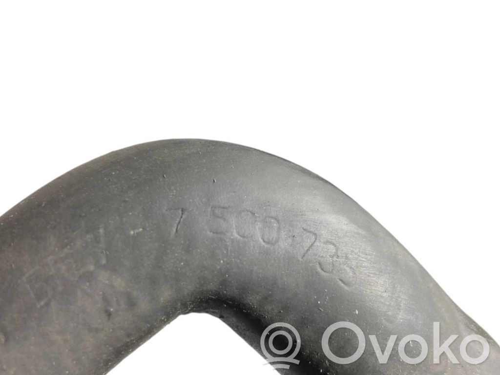 Caurulīte (-es) / šļūtene (-es)