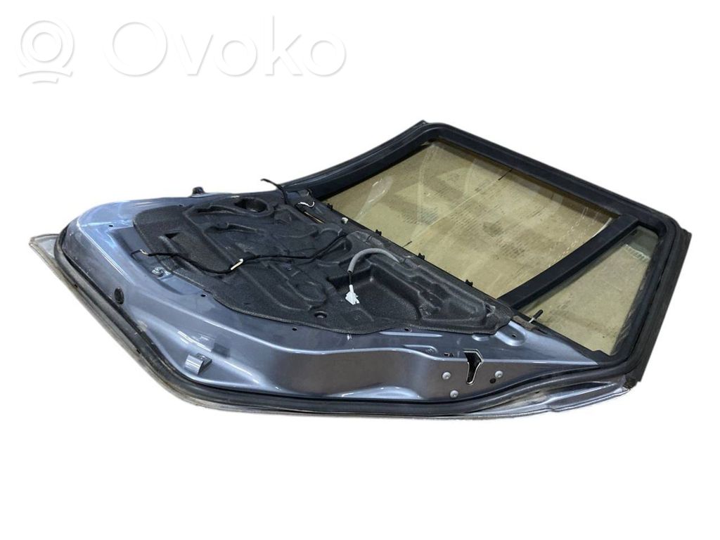 Aizmugurējās durvis