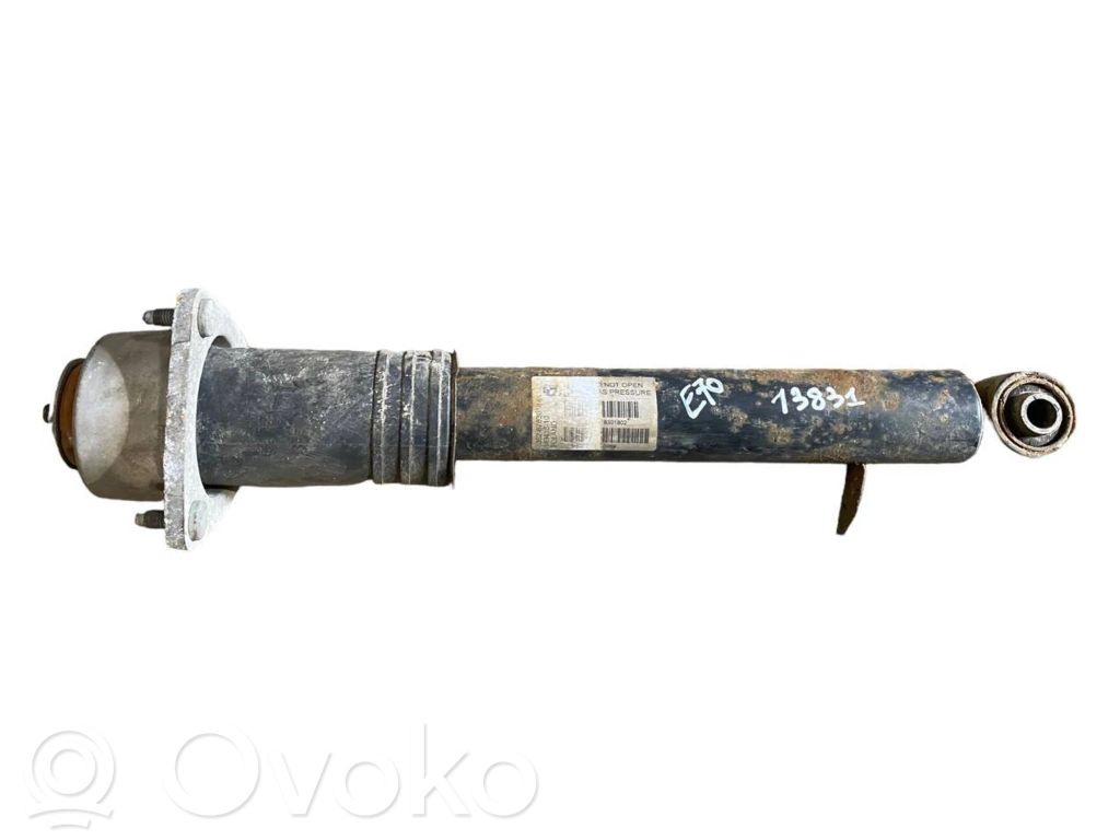 Rear shock absorber