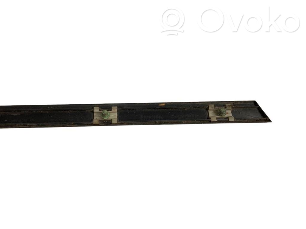 Aizmugurē durvju dekoratīvā apdare (moldings)