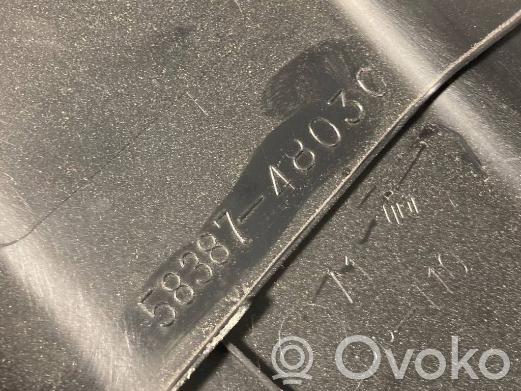 Bagāžnieka sliekšņa dekoratīvā apdare