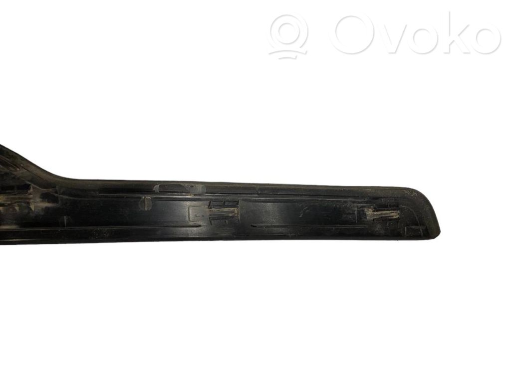 Rear door sill trim (inner)