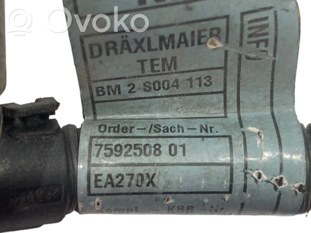 Engine wiring harness