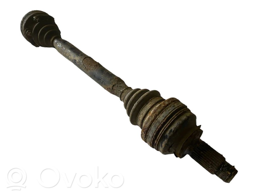 Aizmugurējā pusass