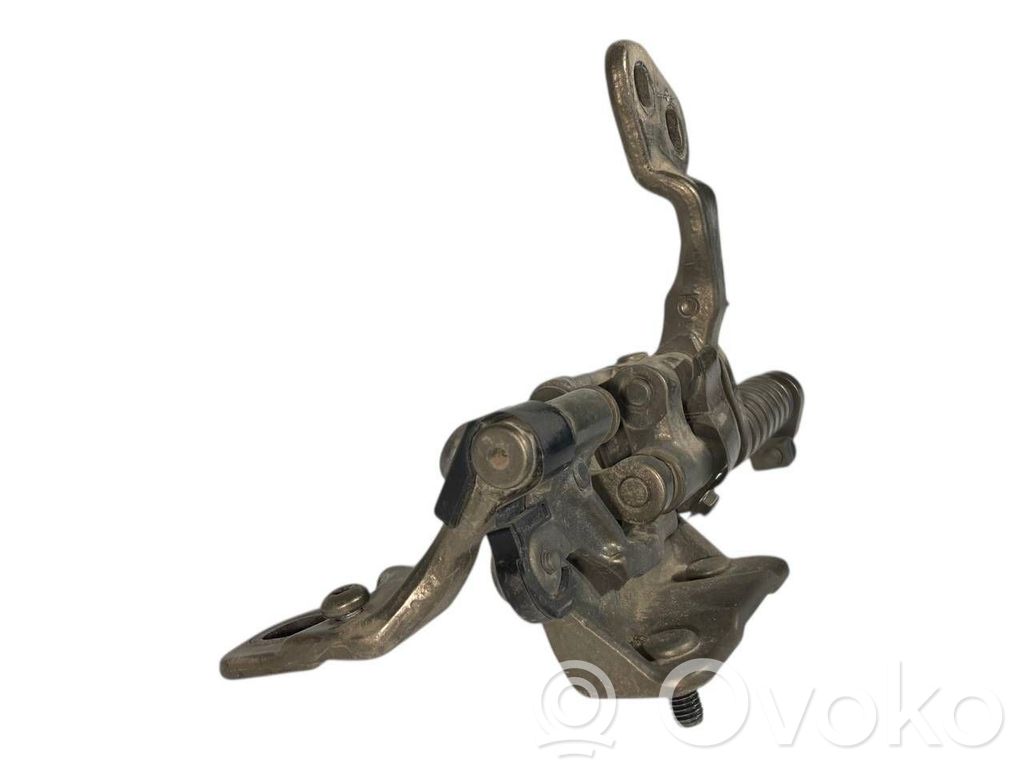 Aizmugurējā pārsega eņģe (-ess)