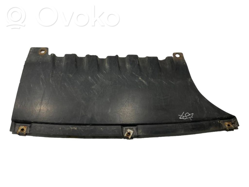 Rear bumper lower guard