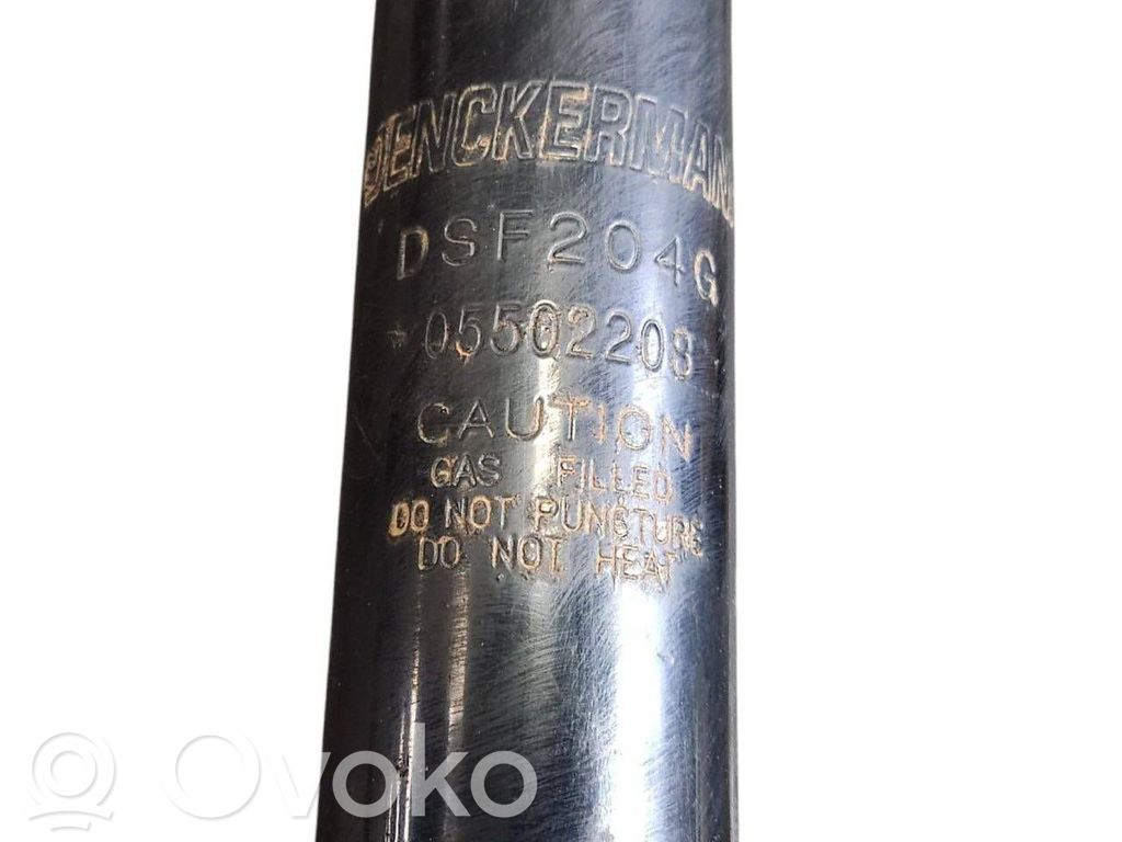 Rear shock absorber with spring