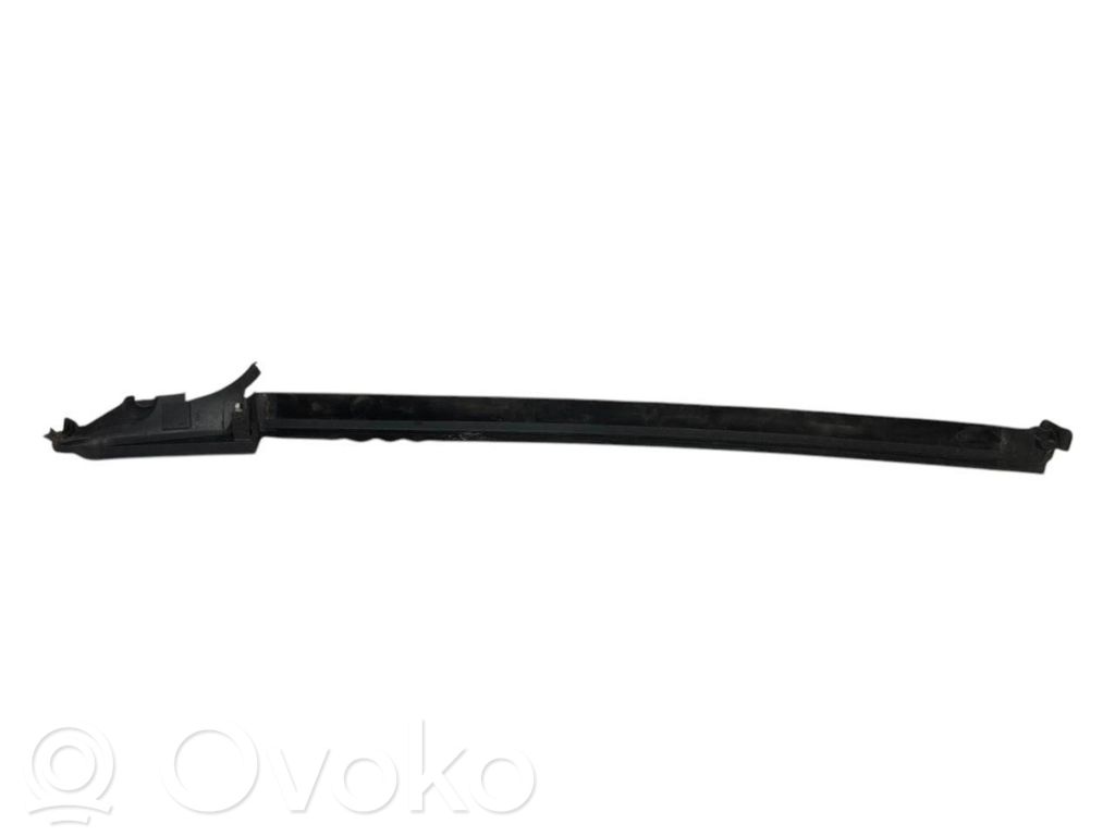 Rear door glass trim