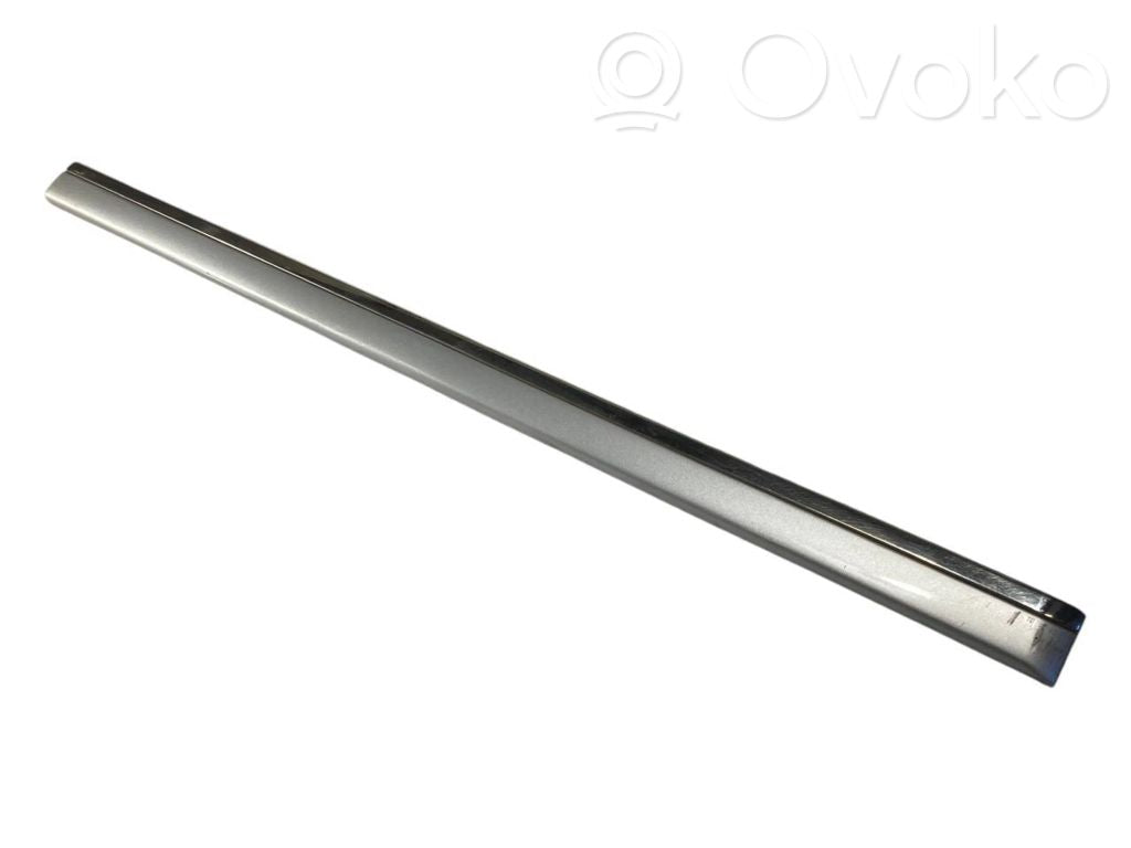 Rear door decorative trim (moulding)