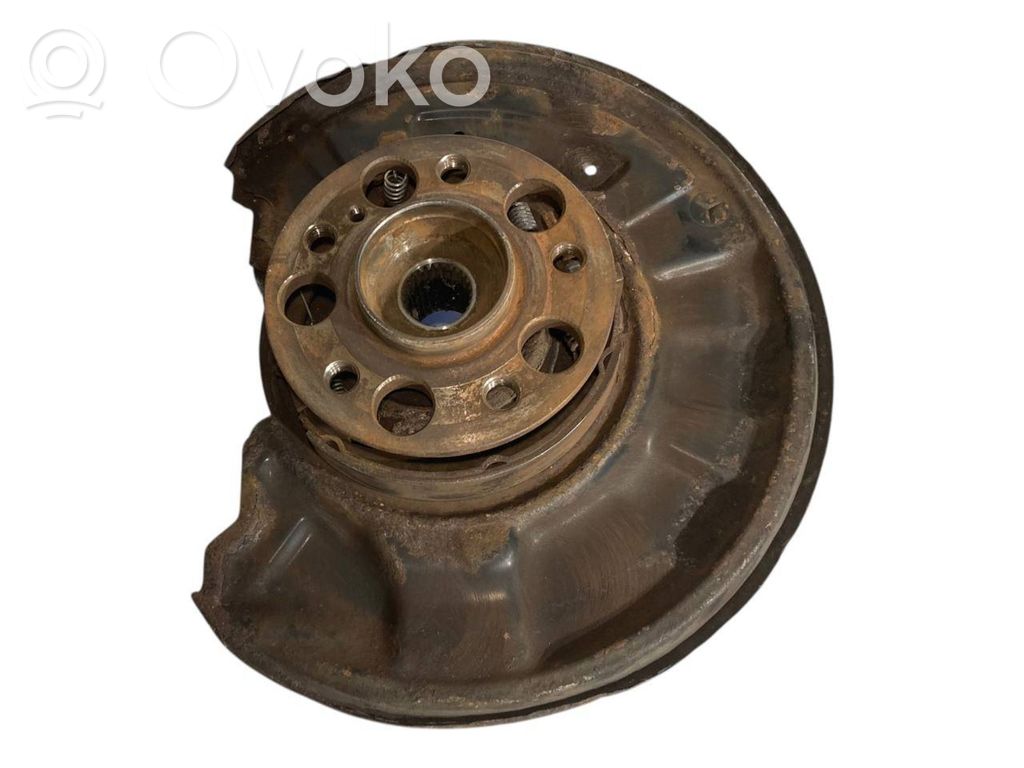 Rear wheel hub shaft joint (stupica, capfa)