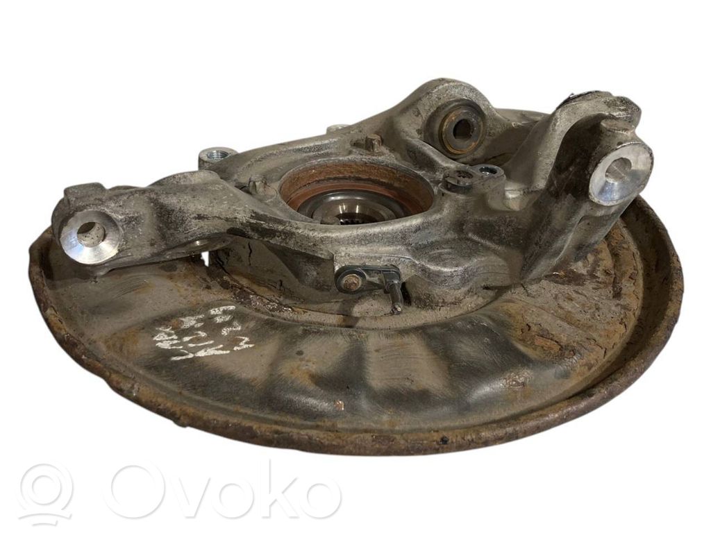 Rear wheel hub shaft joint (stupica, capfa)