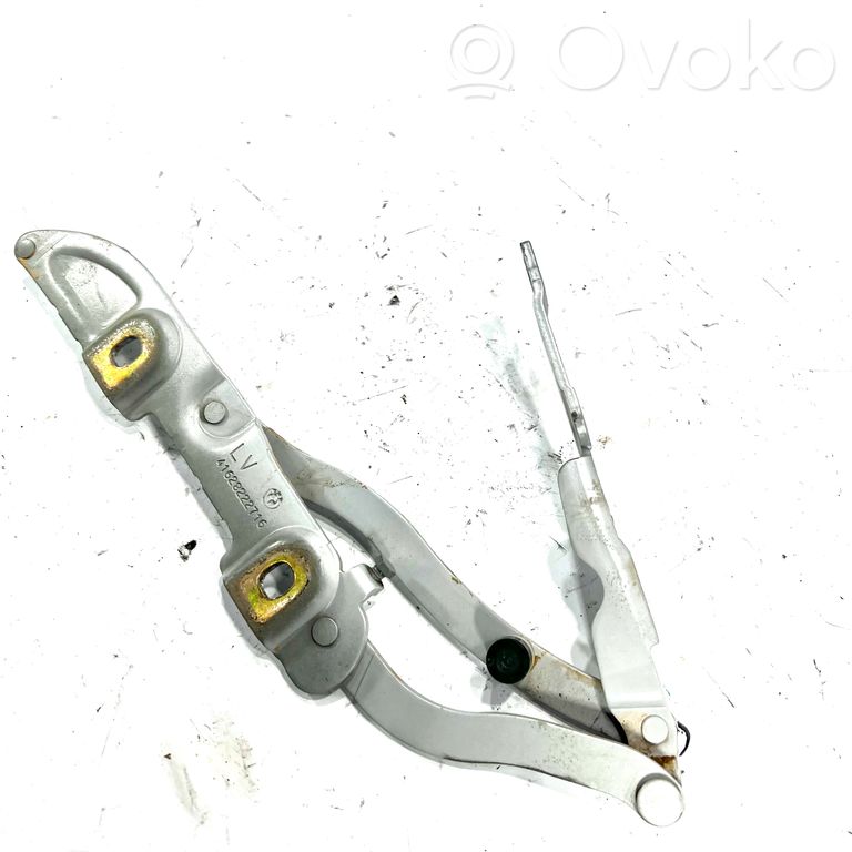 Aizmugurējā pārsega eņģe (-ess)