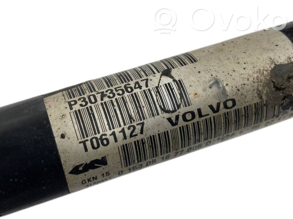 Aizmugurējā pusass