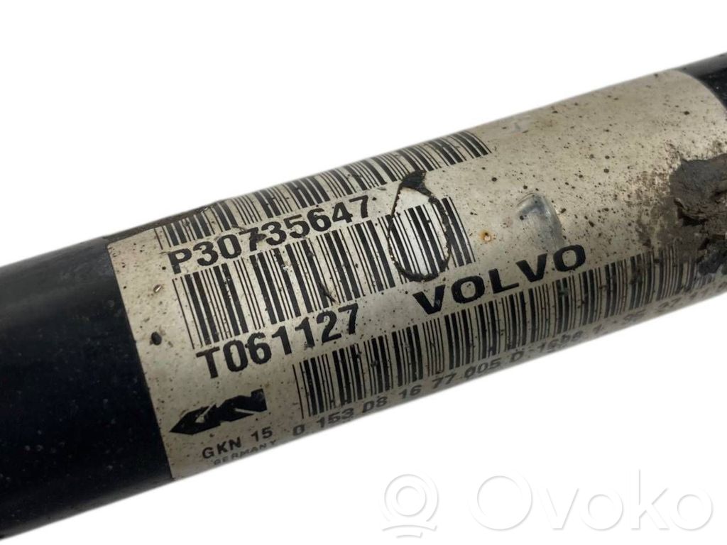 Aizmugurējā pusass