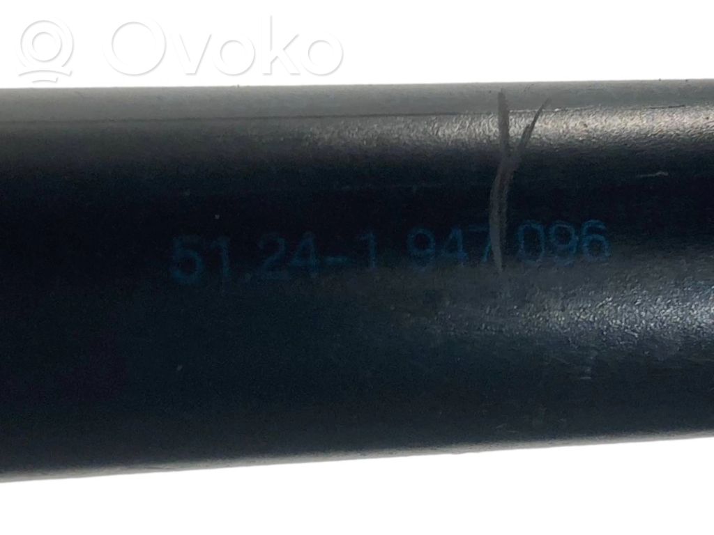 Bagāžnieka amortizators