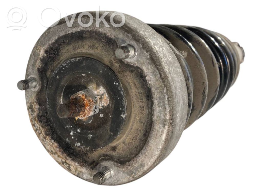 Rear shock absorber with spring