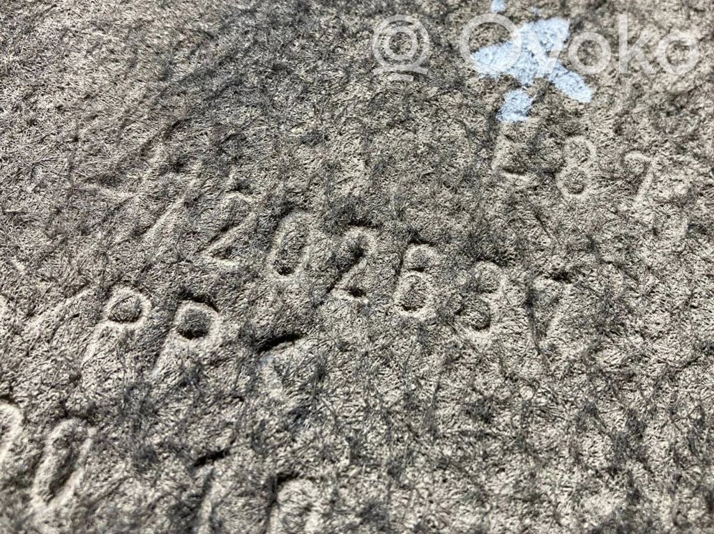 Заднее нижнее крыло